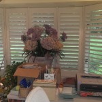 Office - a pleasant bay window in the office where mom did professional counseling in the past